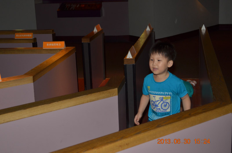 DSC_0986-1