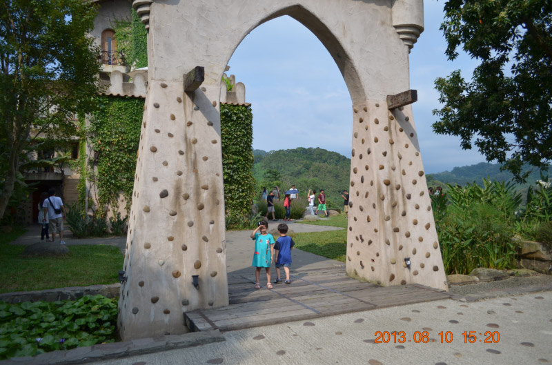 DSC_2006-1